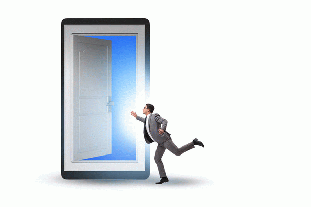 19 نکته ضروری درباره عفونت ادراری گربه (UTI): علائم، درمان و پیشگیری