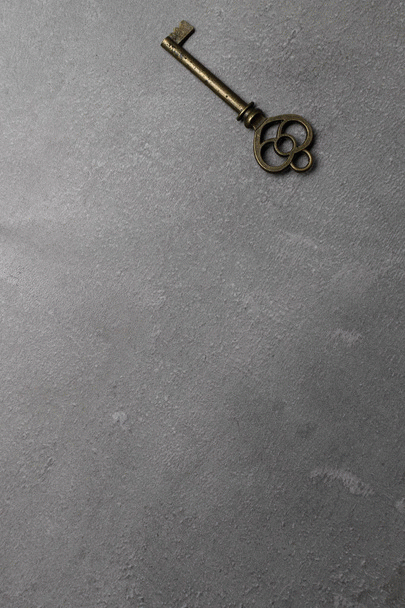 19 نکته جالب درباره لابرادور رتریور، محبوب‌ترین سگ دنیا